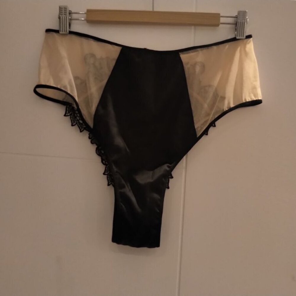 🐞NWT Victoria's Secret LUXE Dragon Applique Cheeky Mesh SEXY Lingerie Black Tan - Picture 4 of 16